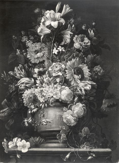 Anonimo — Anonimo fiammingo-olandese sec. XVII/ XVIII - Natura morta con vaso di fiori — insieme